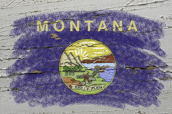 Flag of US state of montana on grunge wooden texture precise pai — Stock Photo, Image