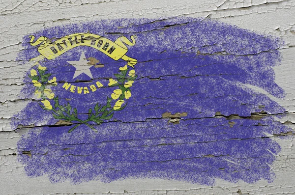 Flag of US state of nevada on grunge wooden texture precise pain — Stock Photo, Image