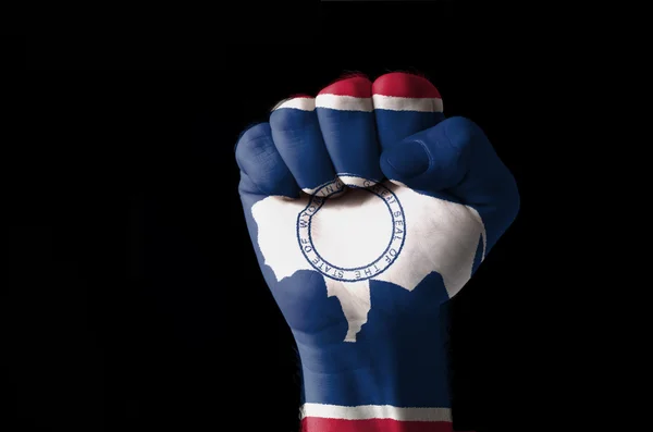 在我们国家的怀俄明州旗的颜色绘了拳头 — 图库照片