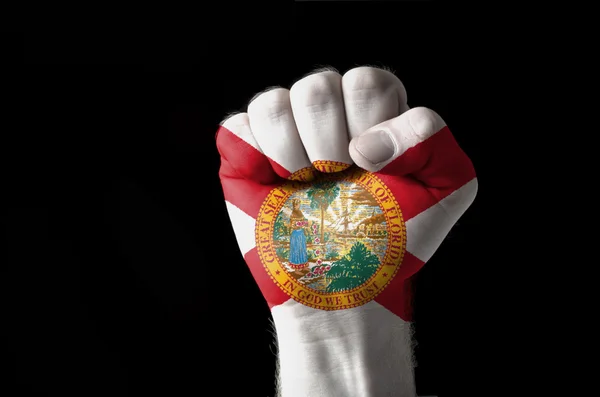 米国フロリダ州の旗の色で塗られて拳 — ストック写真