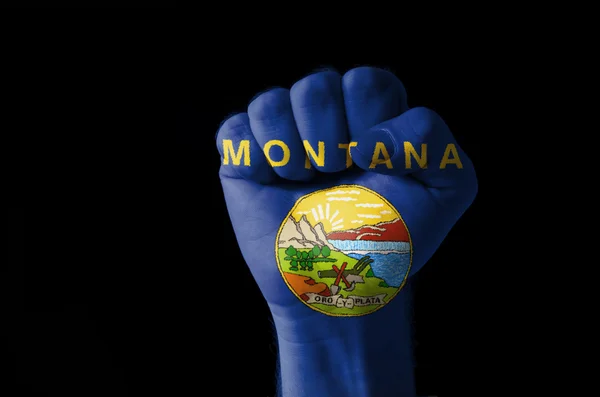 Fist painted in colors of us state of montana flag — Stock Photo, Image