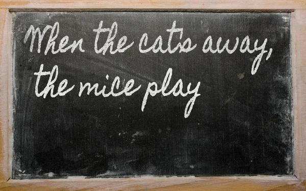 Έκφραση - όταν η γάτα είναι μακριά, τα ποντίκια παίζουν - γραπτώς σε μια — Φωτογραφία Αρχείου