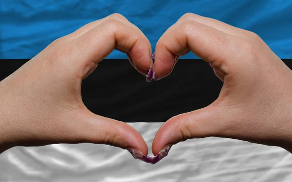 Sobre bandera nacional de estonia mostró el corazón y el gesto de amor hecho —  Fotos de Stock