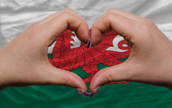 Над национальным флагом Уэльса показали сердце и любовь жест сделал б — стоковое фото