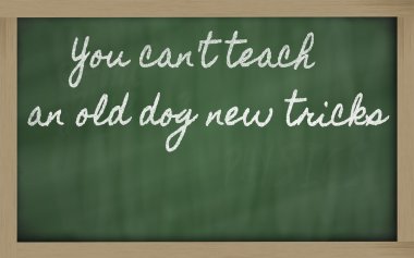 Expression - You can't teach an old dog new tricks - written on clipart