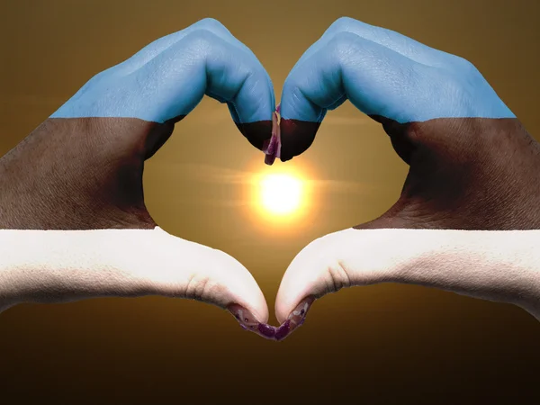 Coração e amor gesto por mãos coloridas em estonia bandeira durante b — Fotografia de Stock