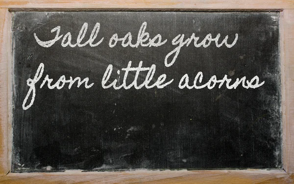 Expression - Tall oaks grow from little acorns - written on a s — Stock Photo, Image