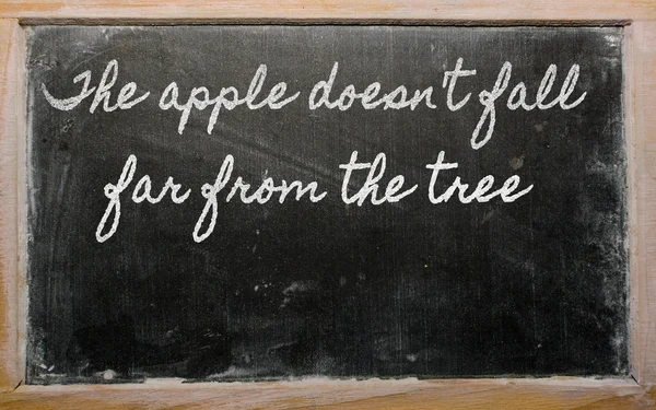 Έκφραση - το μήλο δεν απέχουν πολύ από το δέντρο - γραμμένο — Φωτογραφία Αρχείου