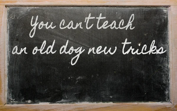 Expression - You can't teach an old dog new tricks - written on — Stock Photo, Image