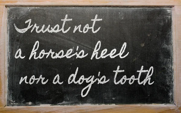 Expression - Ne faites pas confiance au talon d'un cheval ni à la dent d'un chien - écrivez — Photo