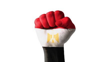 Fist painted in colors of egypt flag clipart