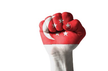 Fist painted in colors of singapore flag clipart