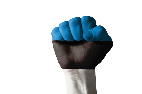 Fist painted in colors of estonia flag — Stock Photo, Image