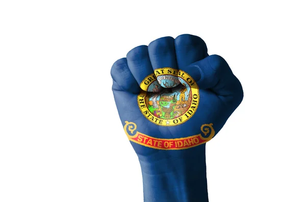 在我们美国爱达荷州旗的颜色绘的拳头 — 图库照片