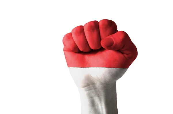 Vuist geschilderd in kleuren van de vlag van Indonesië — Stockfoto