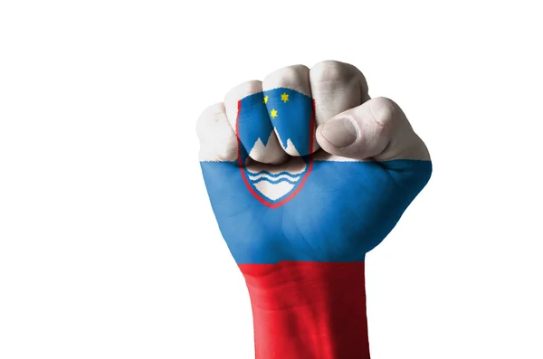 Vuist geschilderd in kleuren van Slovenië vlag — Stockfoto