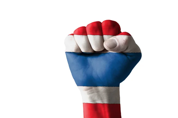 在泰国国旗颜色绘的拳头 — 图库照片