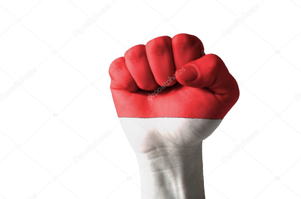 Fist painted in colors of indonesia flag