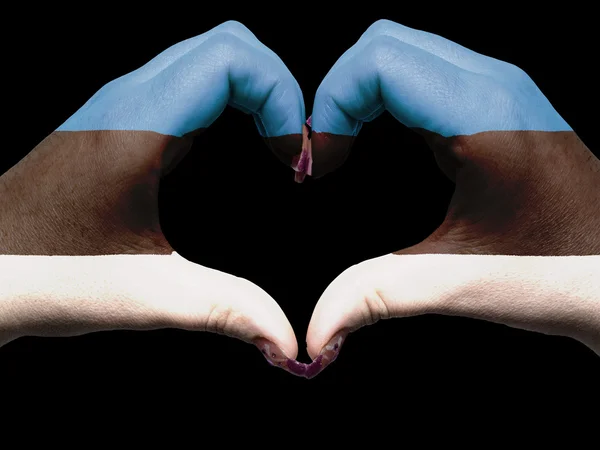 Heart and love gesture by hands colored in estonia flag for tour — Stock Photo, Image