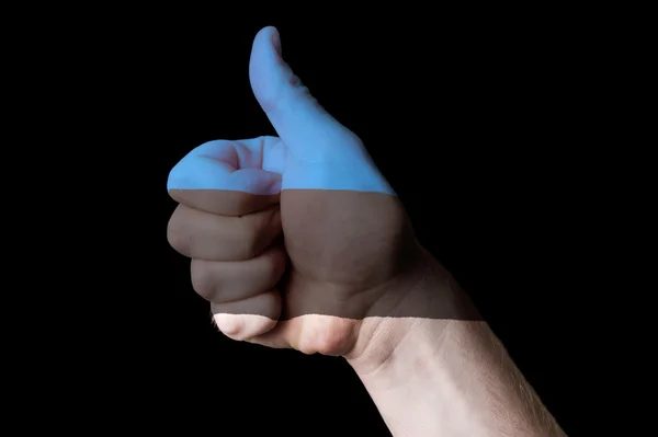 Estonia national flag thumb up gesture for excellence and achiev — Stock Photo, Image