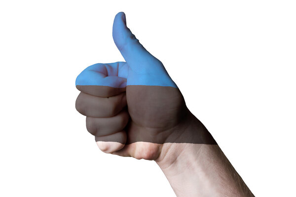 Estonia national flag thumb up gesture for excellence and achiev