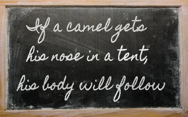 Expressão - Se um camelo fica com o nariz em uma tenda, seu corpo vai f — Fotografia de Stock