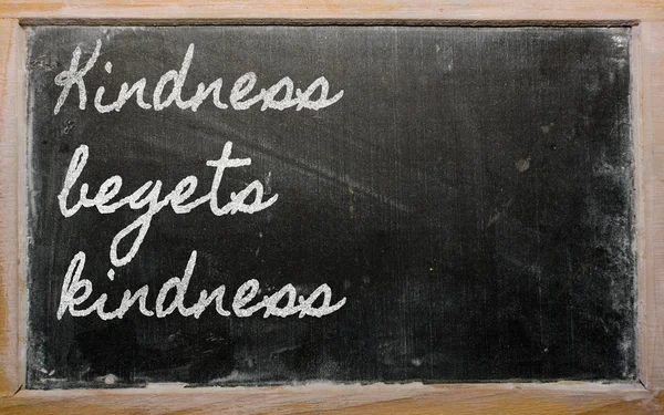 Expressie - vriendelijkheid verwekt vriendelijkheid — Stockfoto
