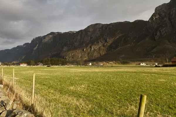 Grasland mit Bergen im Hintergrund — Stockfoto