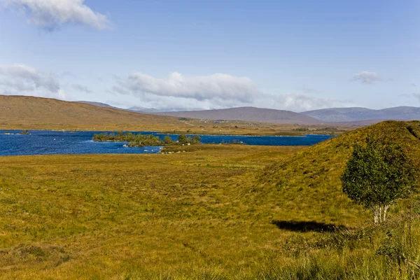 Landsbygdens landskap i Skottland — Stockfoto