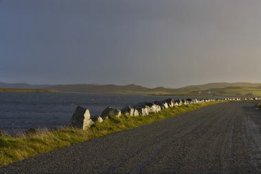 İskoçya'daki loch yalnız yola