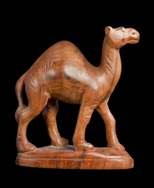 ahşap dromedary