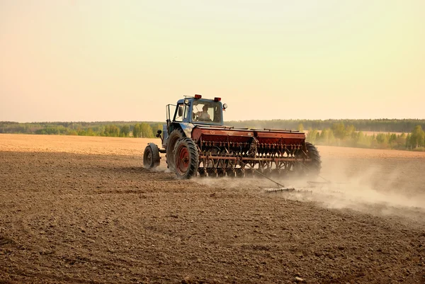 A limpar a terra. Trabalhos agrícolas . — Fotografia de Stock
