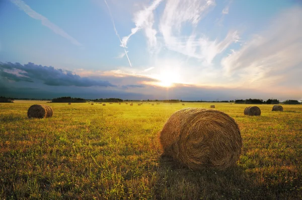 Haystacks at sunset. — Stock Photo, Image