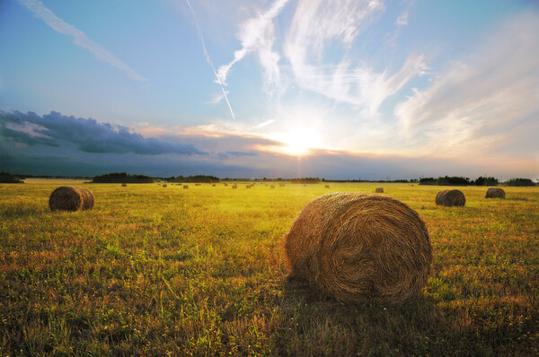 Haystacks at sunset.