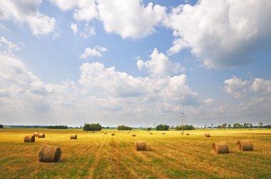 gün batımında haystacks.