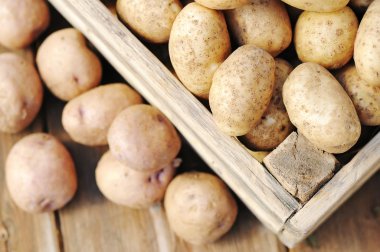 patates