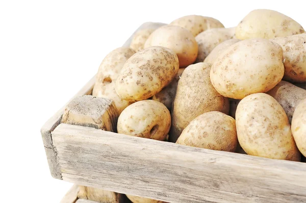 Reife Kartoffeln — Stockfoto