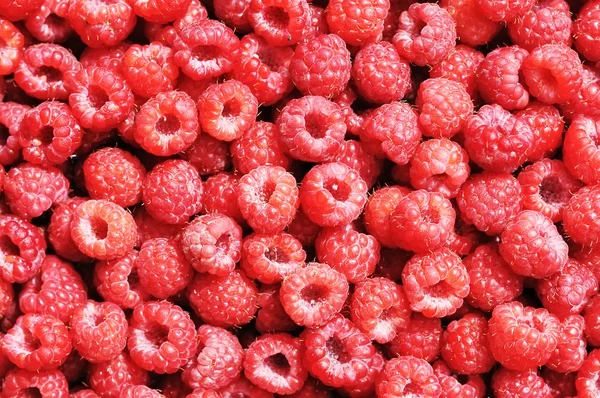 stock image Ripe raspberries