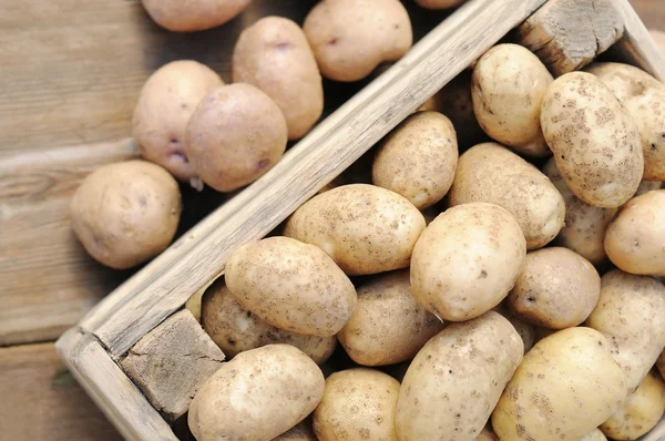 Kartoffeln in einer Schachtel. — Stockfoto