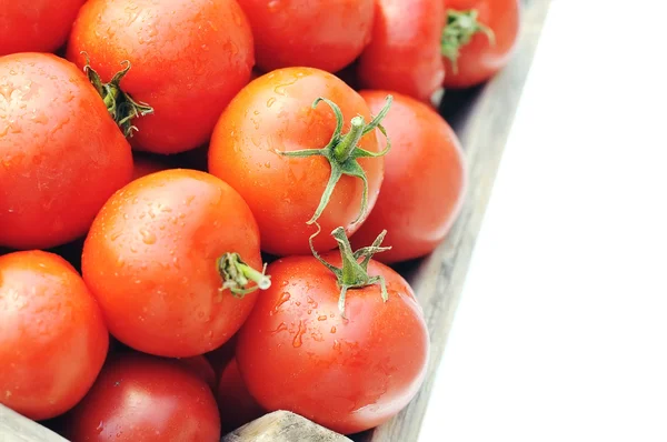 完熟トマト — ストック写真