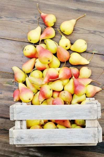 Pear scattered — Stock Photo, Image