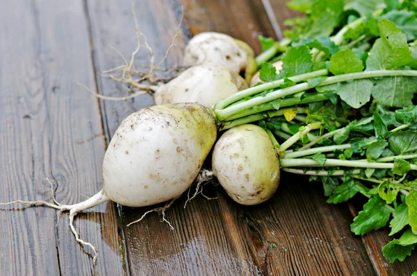 Turnips — Stock fotografie