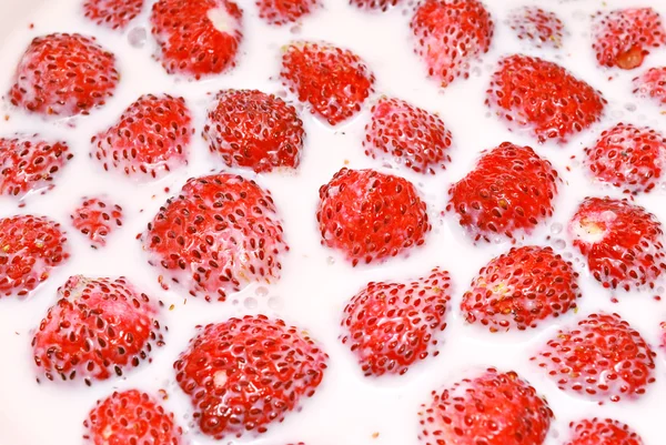 Strawberry in milk — Stock Photo, Image