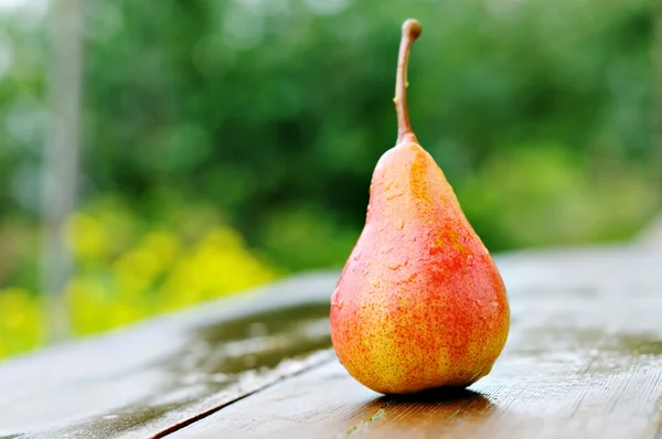 Pears one — Stock Photo, Image