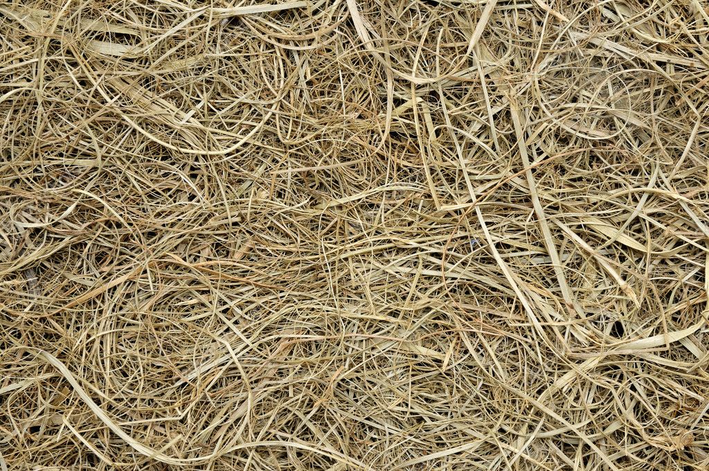 Hay texture — Stock Photo © ortodoxfoto #8986240