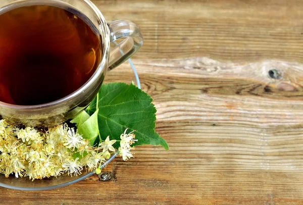 Linden tea. Tilia. — Stock Photo, Image
