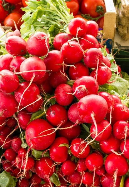 Organic radishes — Stock Photo, Image