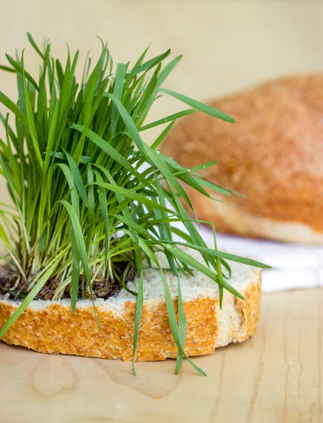 Způsob chleba - pšenice — Stock fotografie