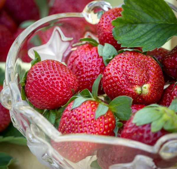 Reife und frische Erdbeeren — Stockfoto