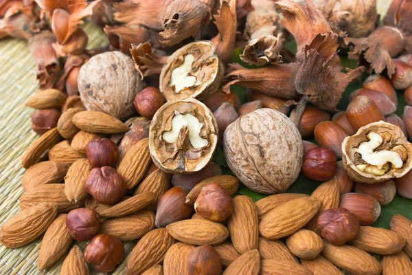 Орехи - миндаль, фундук и грецкие орехи — стоковое фото
